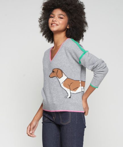 Jersey pico perro gris